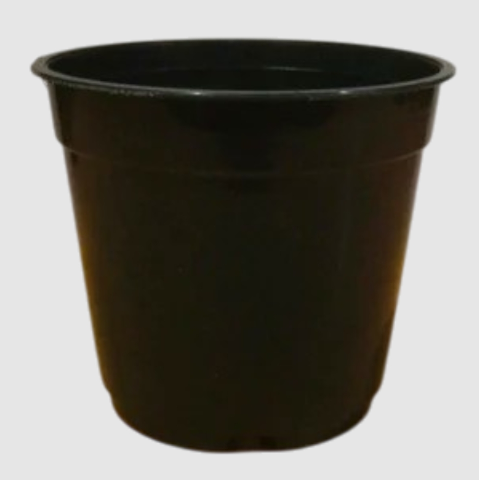 3.5" Pune Nursery Pot